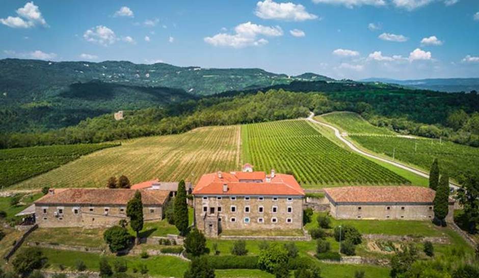 Dvorac Belaj winery