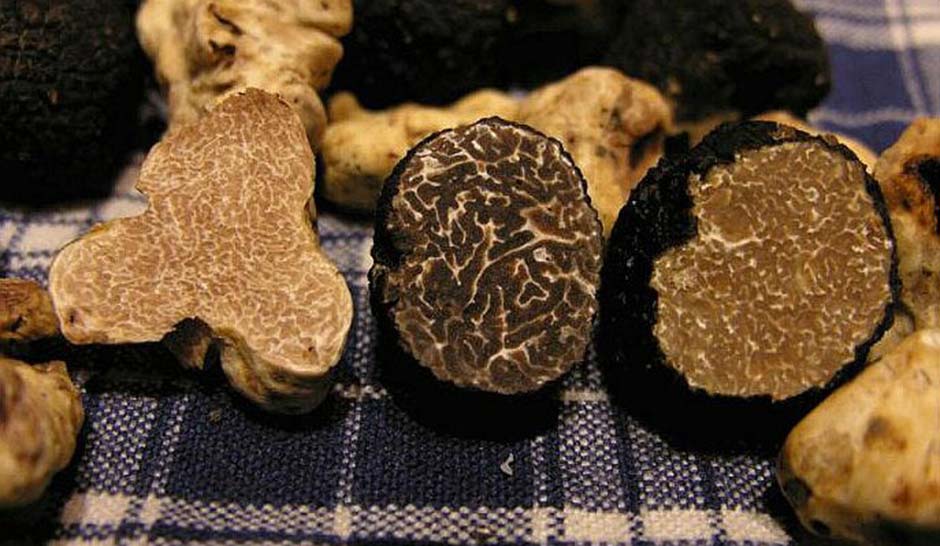 Truffles