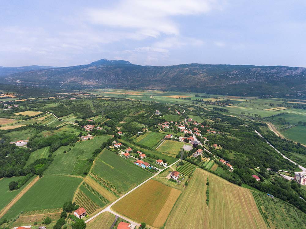 Čepić panorama